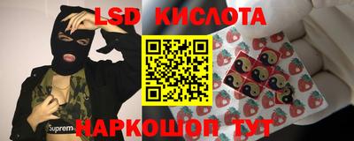 спайс Аргун