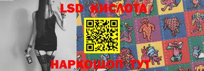 спайс Аргун