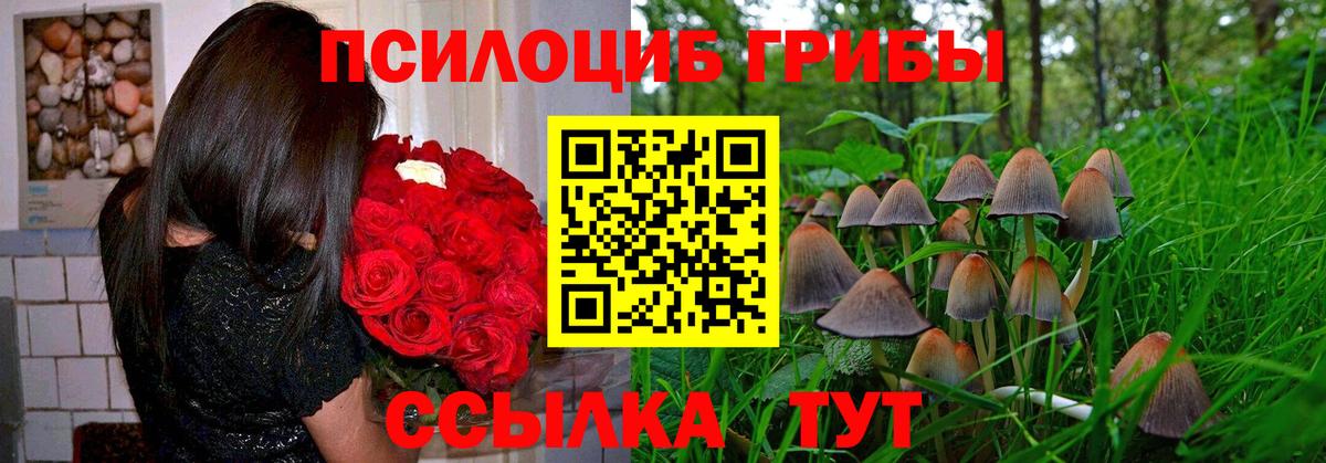 Псилоцибиновые грибы GOLDEN TEACHER  Псилоцибиновые грибы Cubensis  Вход с VPN  Владимир 