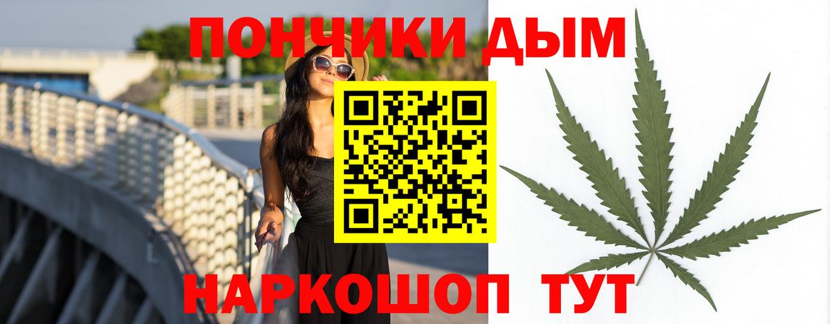 Владимир  Конопля сатива  Вход с VPN  Бошки марихуана индика  Каннабис конопля 